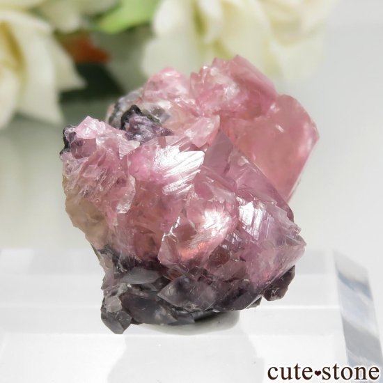 ʥߥӥ Tsumeb ߥʥ No.1μ̿0 cute stone