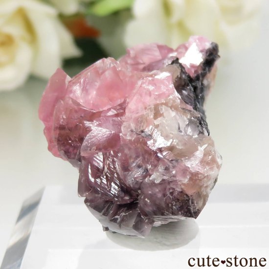 ʥߥӥ Tsumeb ߥʥ No.1μ̿2 cute stone