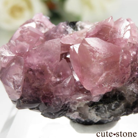 ʥߥӥ Tsumeb ߥʥ No.1μ̿3 cute stone