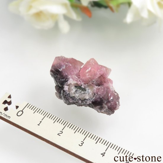 ʥߥӥ Tsumeb ߥʥ No.1μ̿4 cute stone