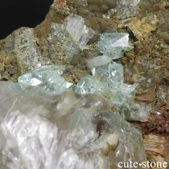  Kushk Mine եեե饤ȡץθСʴ̽դ No.3μ̿3 cute stone