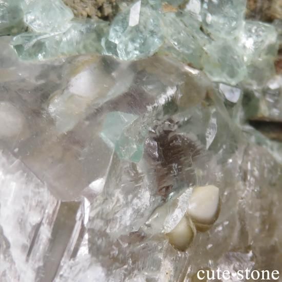  Kushk Mine եեե饤ȡץθСʴ̽դ No.3μ̿5 cute stone