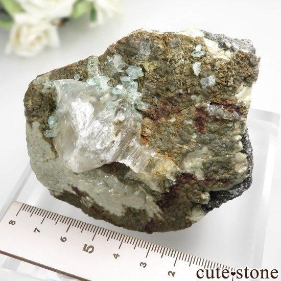  Kushk Mine եեե饤ȡץθСʴ̽դ No.3μ̿6 cute stone