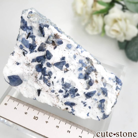 ե˥ California State Gem Mine ٥˥ȥȡͥץʥȤθ No.136μ̿5 cute stone