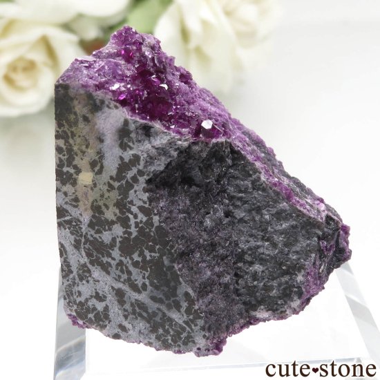 ȥ륳 Kop Krom mine 饤Ȥդ No.3μ̿0 cute stone