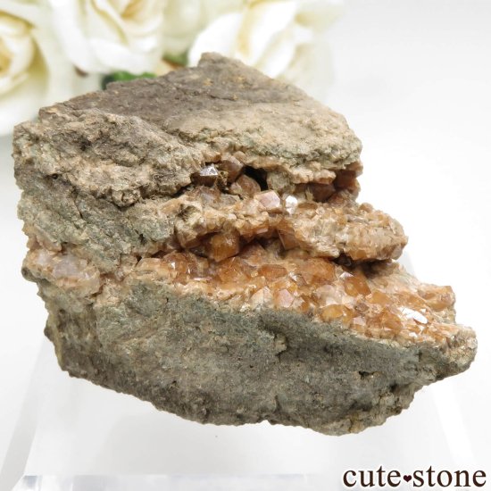 ɥ Wolkenstein ͥåȤθ No.1μ̿0 cute stone