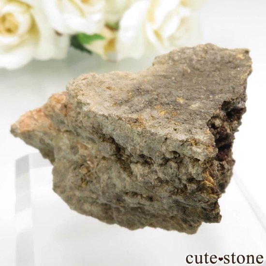 ɥ Wolkenstein ͥåȤθ No.1μ̿1 cute stone