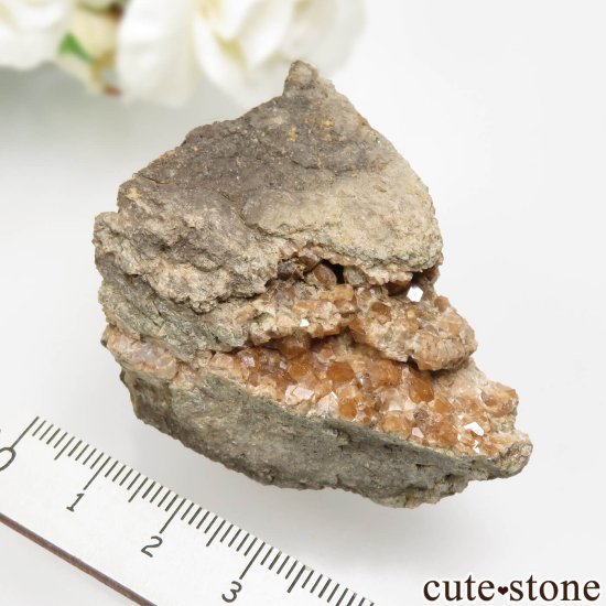 ɥ Wolkenstein ͥåȤθ No.1μ̿2 cute stone
