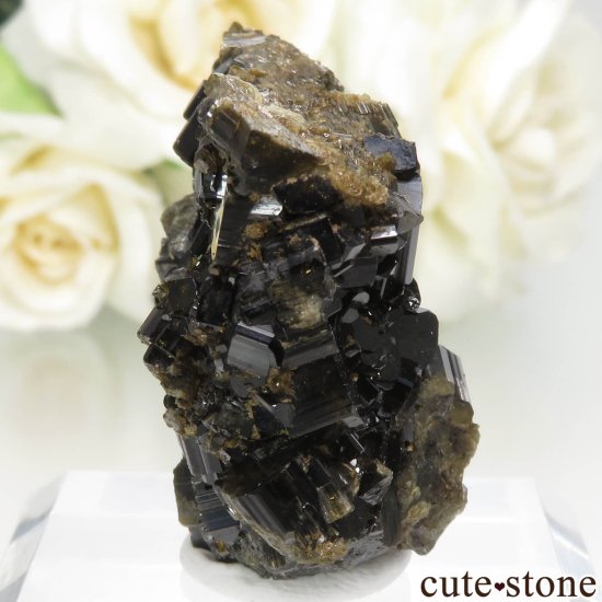 ꥢ Bellecombe ٥ӥʥȤθ No.1μ̿0 cute stone