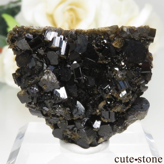 ꥢ Bellecombe ٥ӥʥȤθ No.1μ̿1 cute stone