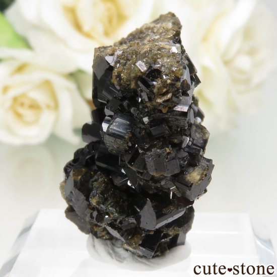 ꥢ Bellecombe ٥ӥʥȤθ No.1μ̿2 cute stone