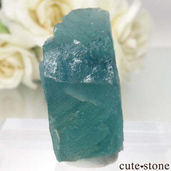 ɥ Hesselbach Mine ꡼֥롼ե饤Ȥθ No.1μ̿0 cute stone