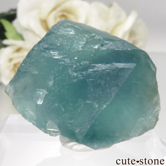 ɥ Hesselbach Mine ꡼֥롼ե饤Ȥθ No.1μ̿1 cute stone