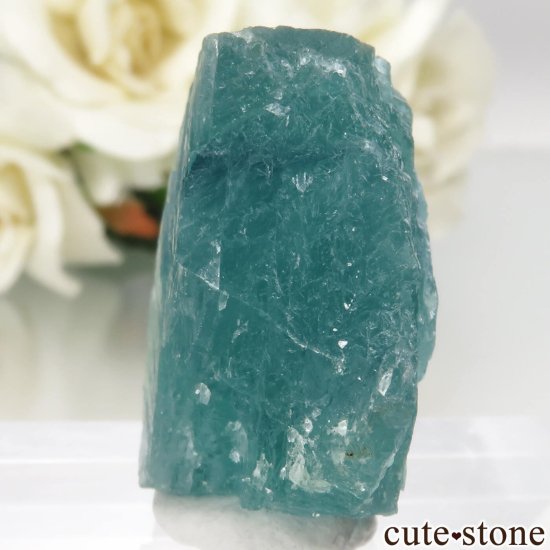 ɥ Hesselbach Mine ꡼֥롼ե饤Ȥθ No.1μ̿2 cute stone