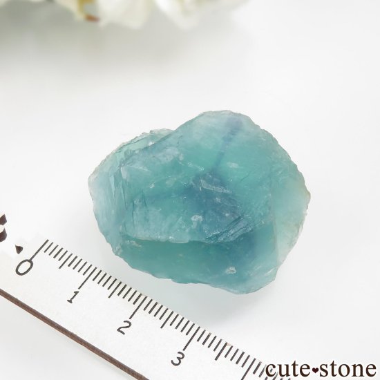 ɥ Hesselbach Mine ꡼֥롼ե饤Ȥθ No.1μ̿3 cute stone