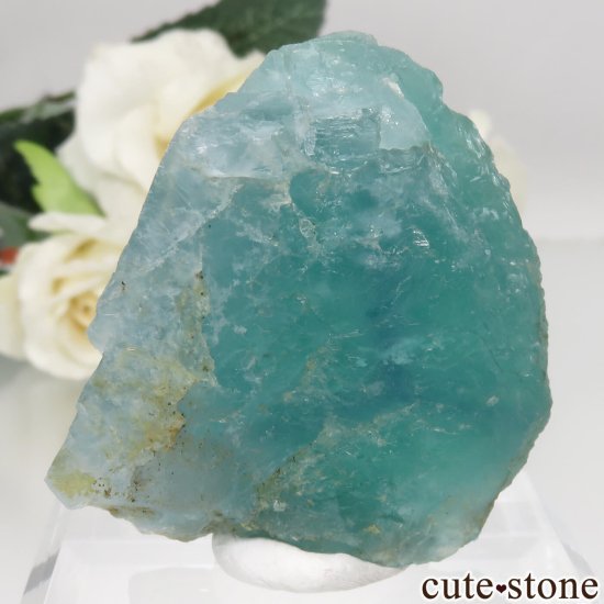 ɥ Hesselbach Mine ꡼֥롼ե饤Ȥθ No.2μ̿1 cute stone