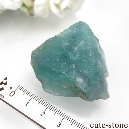 ɥ Hesselbach Mine ꡼֥롼ե饤Ȥθ No.2μ̿3 cute stone