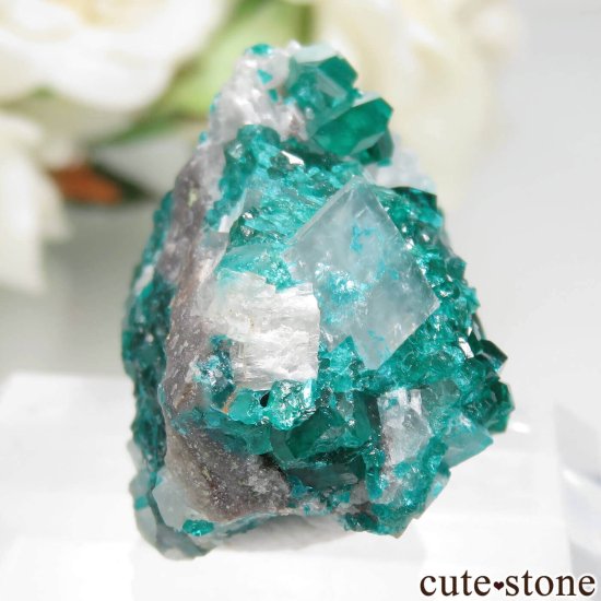 ʥߥӥ Tsumeb MineΥץơ륵Ȥդ뾽ʸСNo.4μ̿0 cute stone