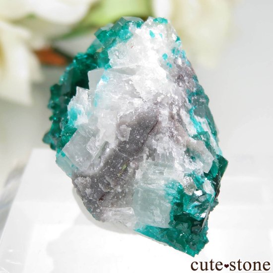 ʥߥӥ Tsumeb MineΥץơ륵Ȥդ뾽ʸСNo.4μ̿2 cute stone