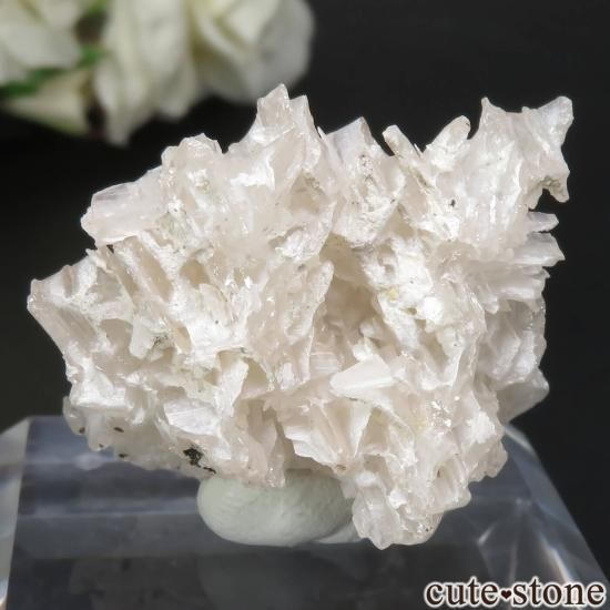 信頼も高い イラン Nakhlak Mine産セルサイトの原石 No.1 - cute stone - その他