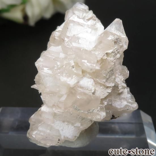 イラン Nakhlak Mine産セルサイトの原石 No.1 - cute stone -