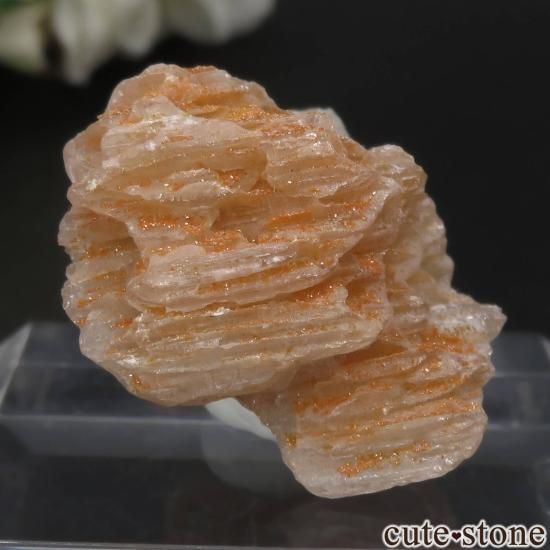 イラン Nakhlak Mine産セルサイト&ウルフェナイトの原石 No.4の写真0 cute stone