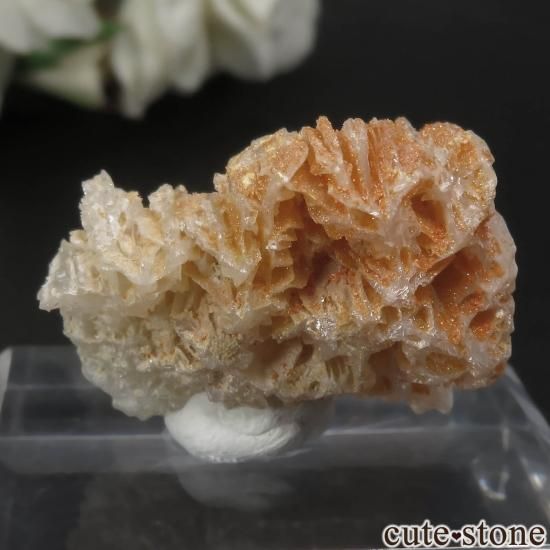 イラン Nakhlak Mine産セルサイト&ウルフェナイトの原石 No.4の写真1 cute stone