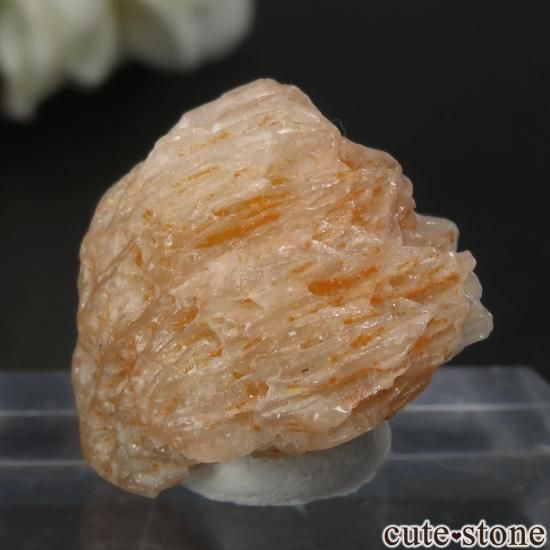 セルサイト ウルフェナイト 鉱物標本 セルサイト ウルフェナイト 鉱物標本 - メルカリ