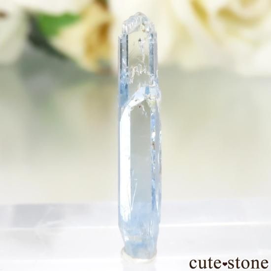 ʥߥӥ 󥴻 ᥸ХȡʥߥСˤθ No.11