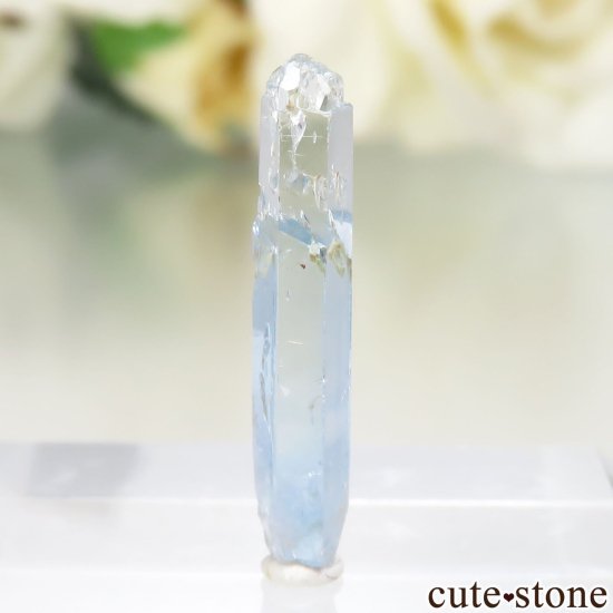 ʥߥӥ 󥴻 ᥸ХȡʥߥСˤθ No.11μ̿1 cute stone