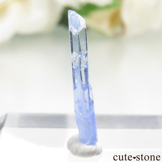 ʥߥӥ 󥴻 ᥸ХȡʥߥСˤθ No.18μ̿0 cute stone