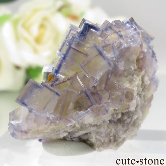 フランス La Barre Mine産 ブルー×イエローフローライトの結晶（原石）No.47の写真2 cute stone
