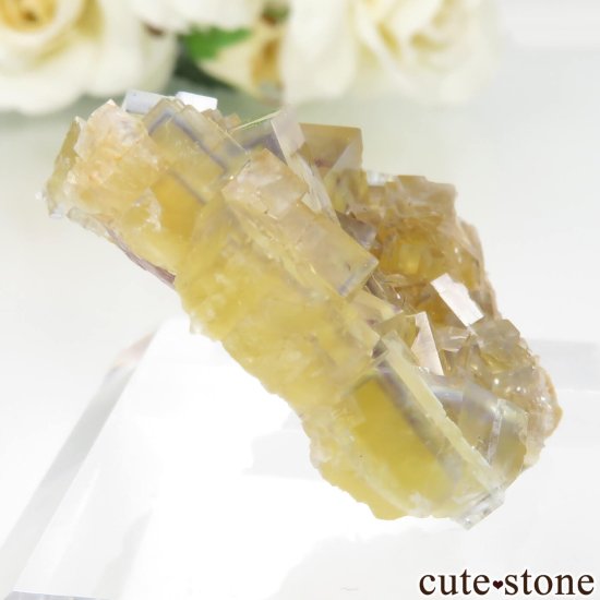 フランス La Barre Mine産 イエロー×ブルーフローライトの結晶（原石）No.48の写真0 cute stone