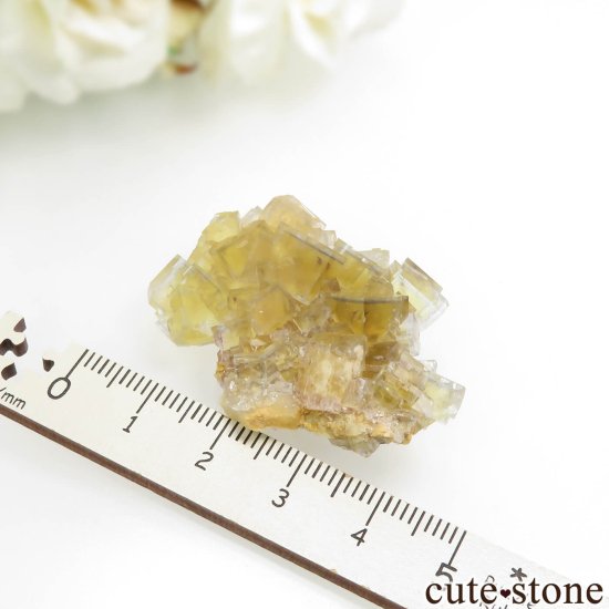 フランス La Barre Mine産 イエロー×ブルーフローライトの結晶（原石）No.48の写真3 cute stone