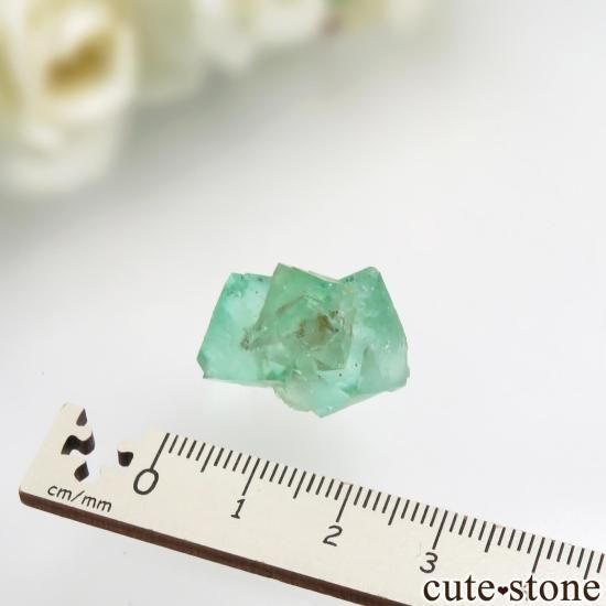 եꥫ Riemvasmaak ꡼ե饤 No.8μ̿3 cute stone