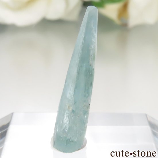 ֥饸뻺 ޥʥܥȥˤθ No.1μ̿2 cute stone