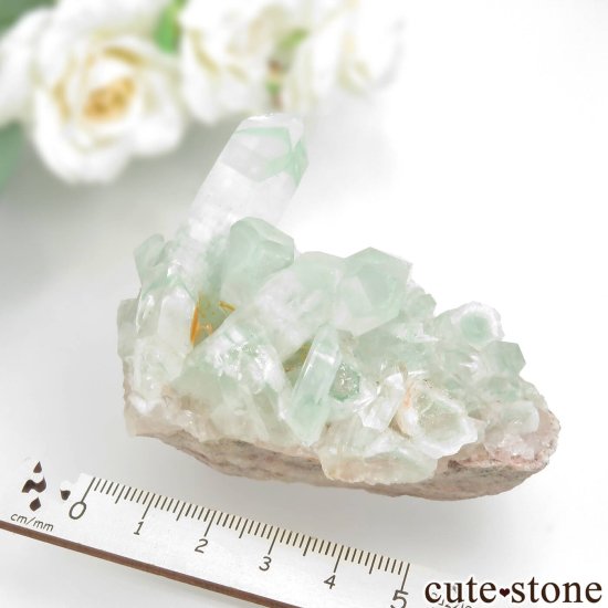 ꡼եȥ९ġʥȥġˤθ No.13μ̿5 cute stone