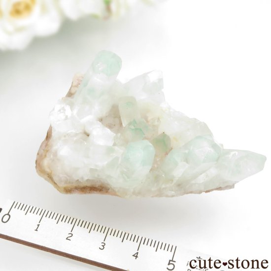 ꡼եȥ९ġʥȥġˤθ No.14μ̿4 cute stone