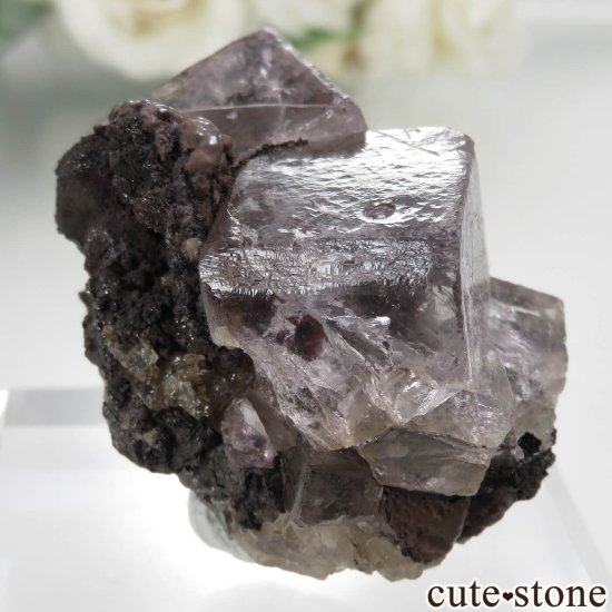 ᥭ Ojuela Mine (ϥ) ե饤Ȥθ No.8μ̿2 cute stone
