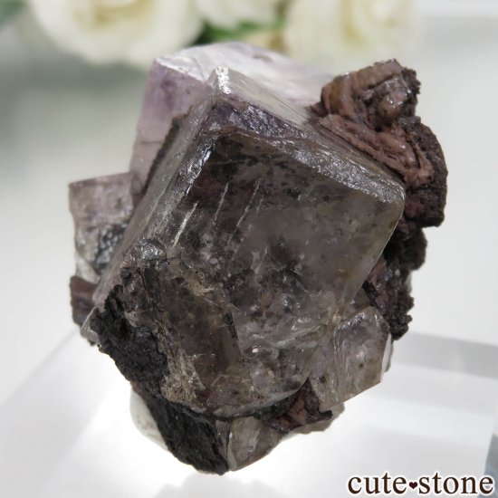 ᥭ Ojuela Mine (ϥ) ե饤Ȥθ No.8μ̿4 cute stone