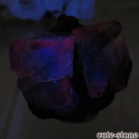 ᥭ Ojuela Mine (ϥ) ե饤Ȥθ No.8μ̿5 cute stone
