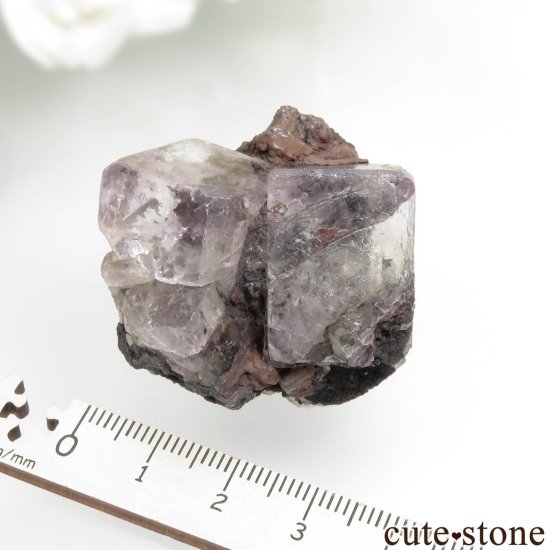 ᥭ Ojuela Mine (ϥ) ե饤Ȥθ No.8μ̿6 cute stone