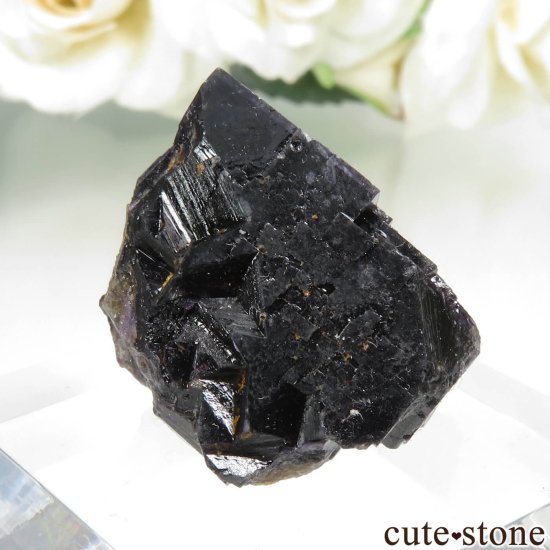 ɥ Zehntausend Ritter Mine ѡץ֥åե饤 No.11μ̿0 cute stone