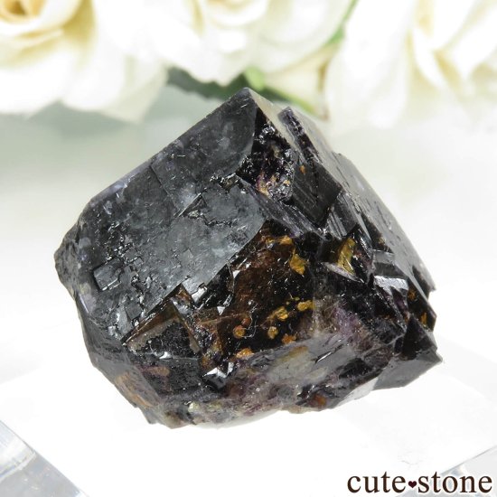 ɥ Zehntausend Ritter Mine ѡץ֥åե饤 No.11μ̿1 cute stone