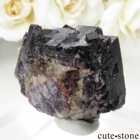 ɥ Zehntausend Ritter Mine ѡץ֥åե饤ȡ No.12μ̿0 cute stone