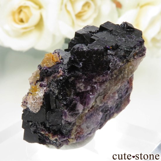 ɥ Zehntausend Ritter Mine ѡץ֥åե饤ȡ No.12μ̿1 cute stone
