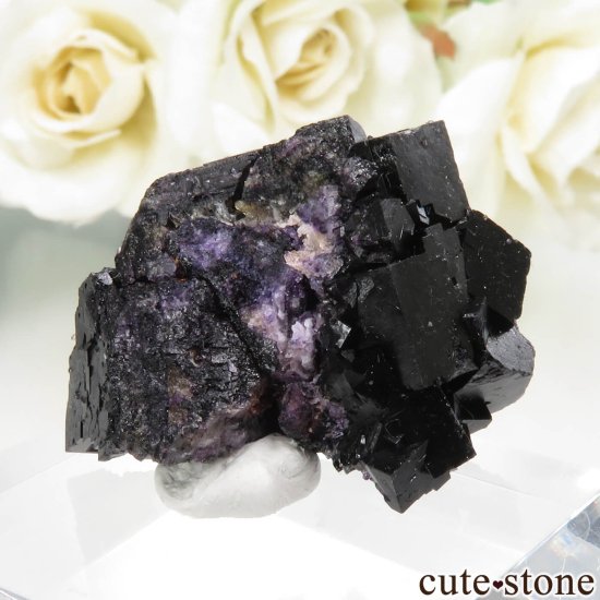 ɥ Zehntausend Ritter Mine ѡץ֥åե饤ȡ No.13μ̿0 cute stone