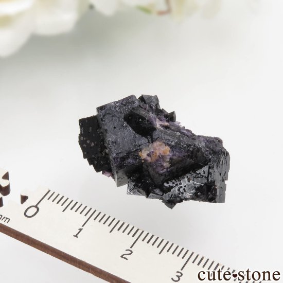 ɥ Zehntausend Ritter Mine ѡץ֥åե饤ȡ No.13μ̿2 cute stone