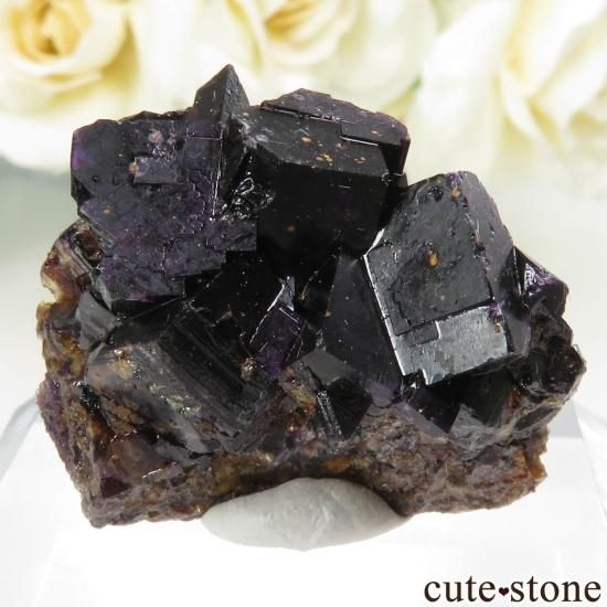 ドイツ Zehntausend Ritter Mine産 パープル～ブラックフロー