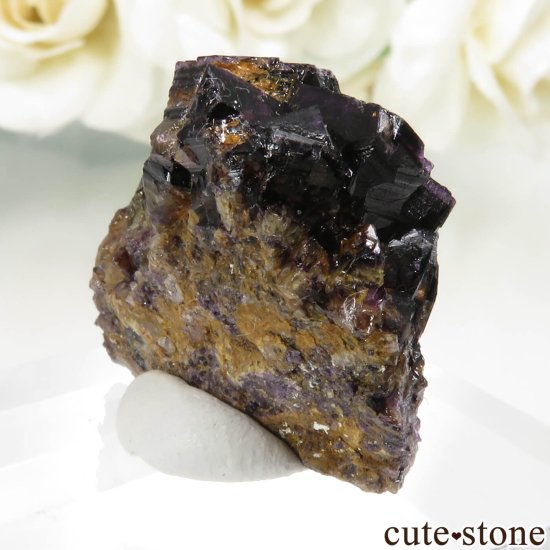 ɥ Zehntausend Ritter Mine ѡץ֥åե饤 No.14μ̿0 cute stone